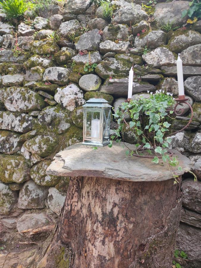 Le Secret du Moulin, agréable tiny house Villefort Villefort  Esterno foto